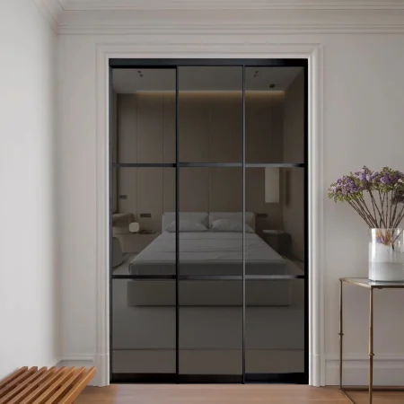 Двери купе с зеркалом серебро графит