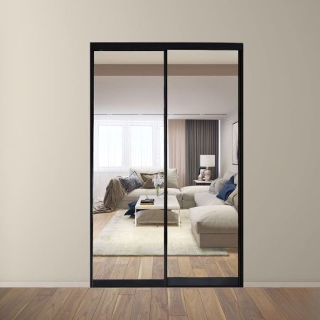 Двери купе зеркальные 2 шт